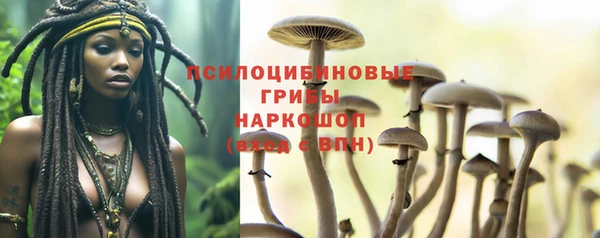 герыч Лагань